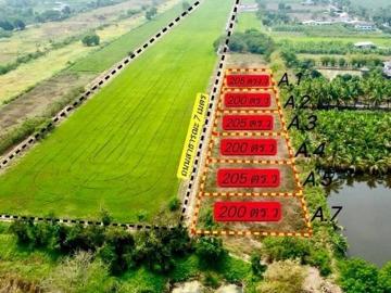 #ที่ดินคลอง9 หนองเสือ ปทุมธานี คลังบ้าน.com