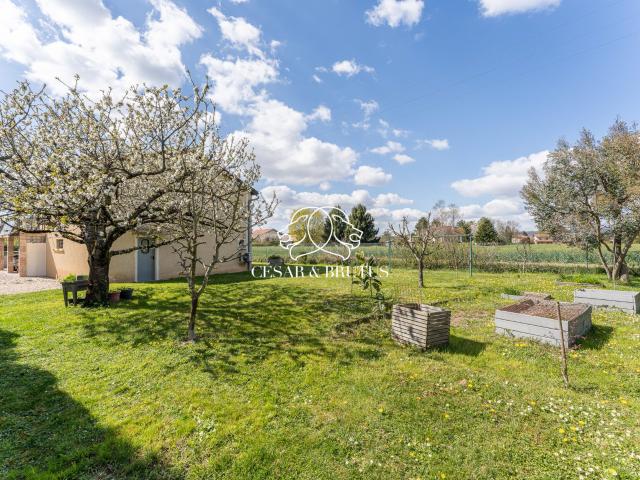 Thil Vente Maison 01