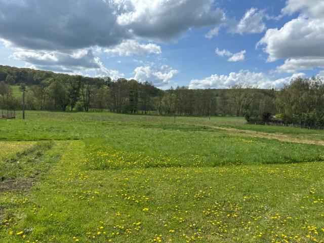 Thionville Vente Terrain 57