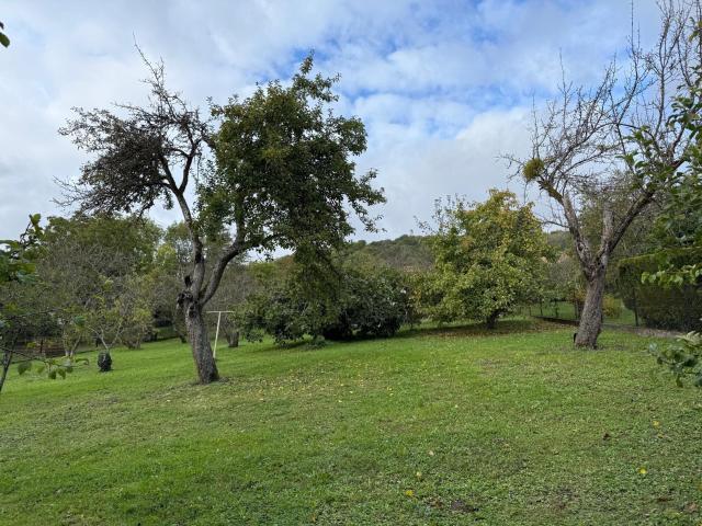 Thionville Vente Terrain 57