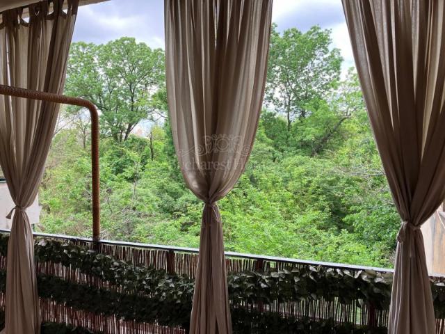 Three Bedroom Flat with Fireplace and Peaceful View Cismigiu Park