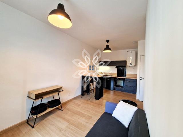 TI meublé, 26m2, centre ville Brioude