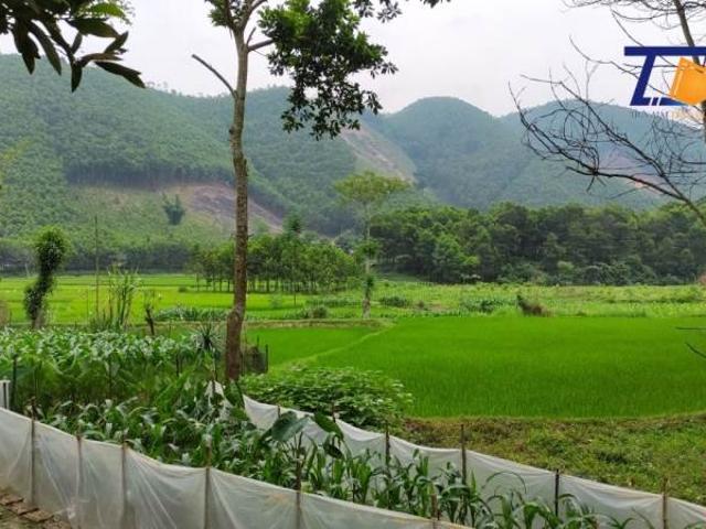 Tiến Mai cần bán đất Thanh Sơn Phú Thọ 2749m2 Giá rẻ vị trí đẹp LH A Tiến 0586.22.9999