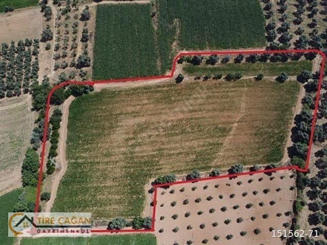 TİRE ÇAĞAN GAYRİMENKUL'DEN 13,230 M2 YATIRIMLİK DÜZ TARLA