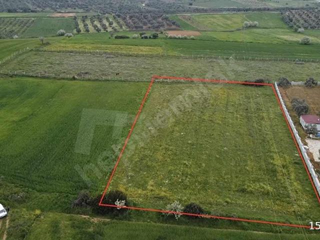 TİRE ÇAĞAN GAYRİMENKUL'DEN DÜZ KONUMDA TARLA