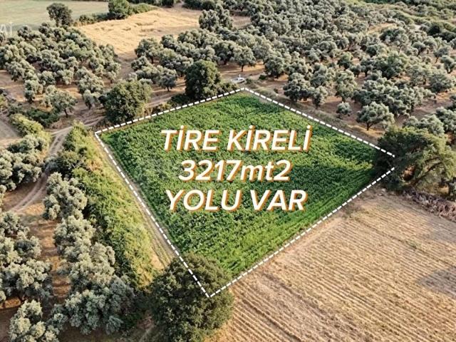 TİRE ASFALTINA YAKIN VERİMLİ TARLA