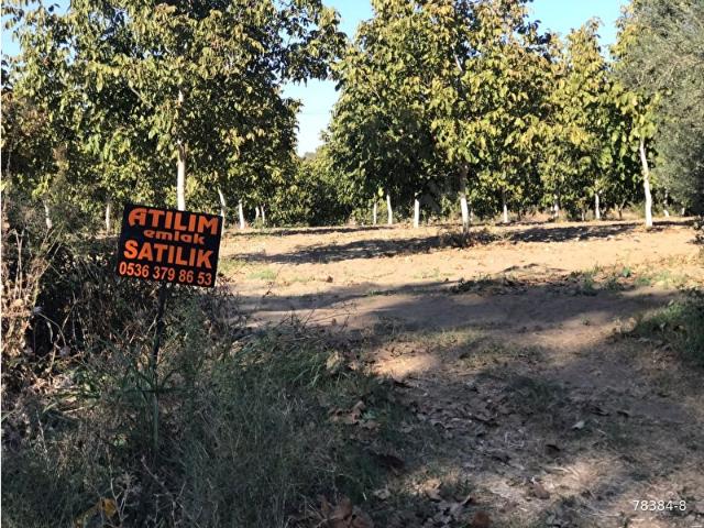 TİRE ATILIM EMLAK TAN KÜÇÜKKALE KÖYÜN DE SATILIK CEVİZLİK