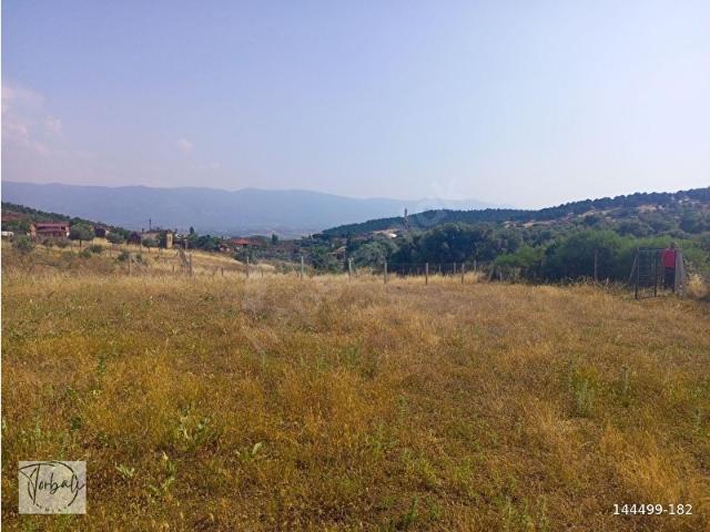 TİRE DEREBAŞI ASFALT YOL CEPHELİ KÖY MERKEZİNE YAKIN 926m2 ARAZİMİZ SATILIKTIR