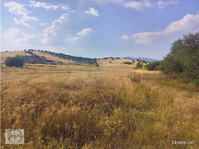 TİRE DEREBAŞI ASFALT YOL CEPHELİ KÖY MERKEZİNE YAKIN TEK TAPU 17.400m2 ARAZİMİZ SATILIKTIR