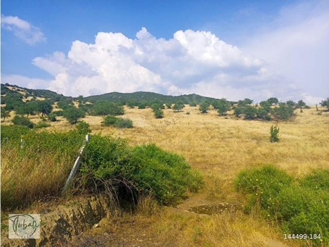 TİRE DEREBAŞINDA TEK TAPU MÜSTAKİL PARSEL 3761m2 ARAZİMİZ SATILIKTIR