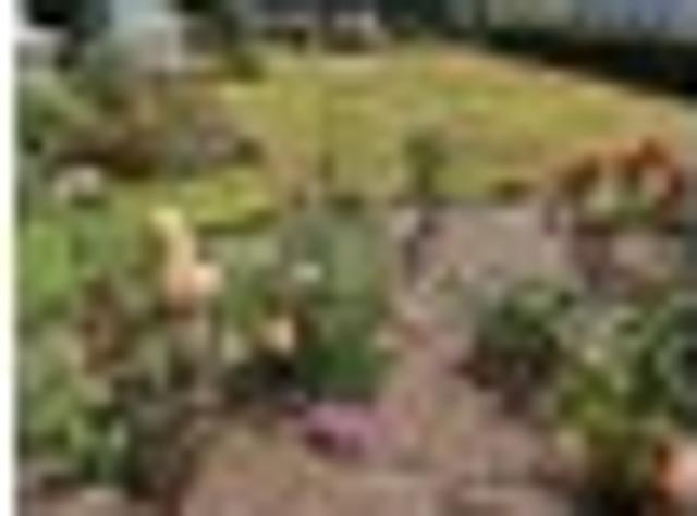 Timaru, 2 bedrooms, $650 pw