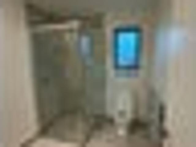 Tinwald, 3 bedrooms, $610 pw