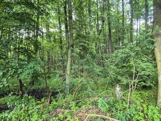 Tiny House Traum Naturgrundstück mit Biotopanteil