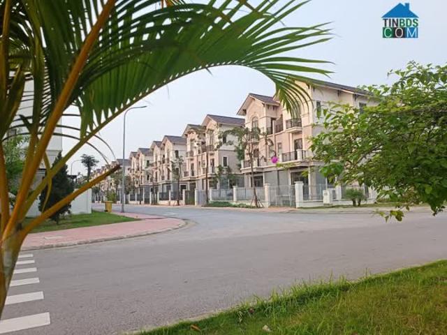 Tin được không biệt thự vườn mà giá chỉ có 45tr/m2