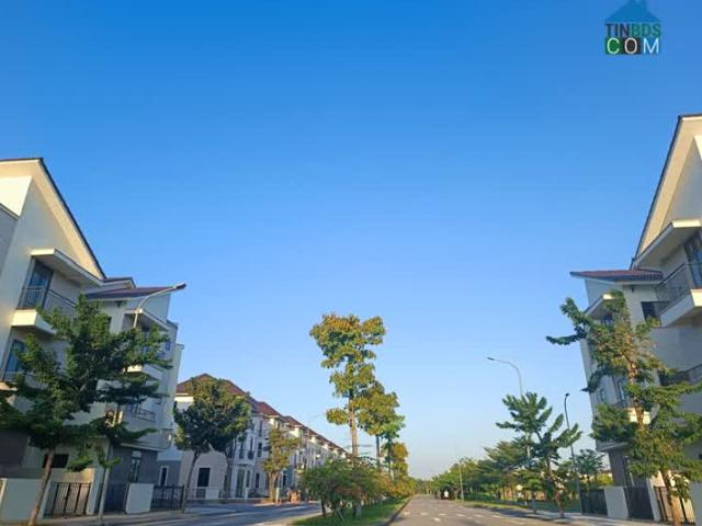 Tin được không biệt thự vườn đẹp y trong ảnh mà giá chỉ 45tr / m2