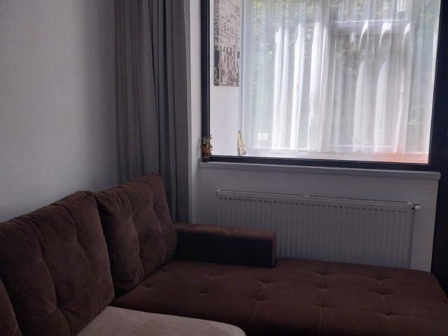 Tineretului