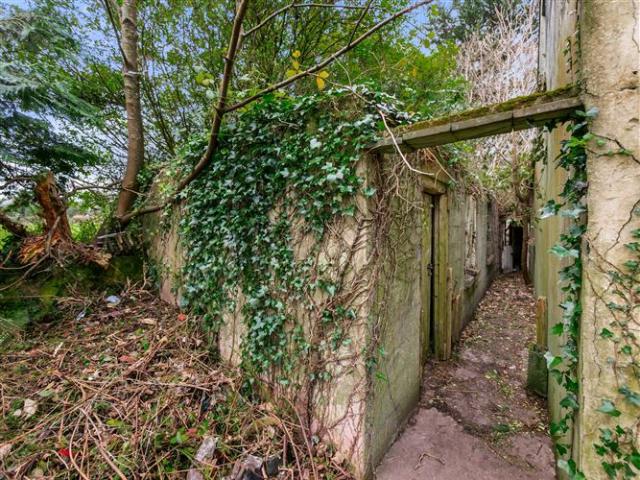 Tinnaranny, New Ross, Wexford P.N. O'Gorman Auctioneers 4901 MyHome. Ie Residential