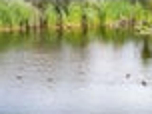 Tinopai Bare Land