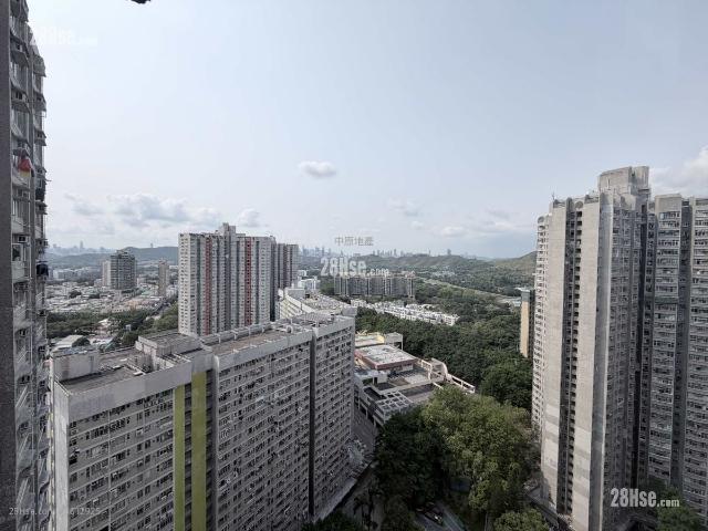 天平村 #3812 售盤樓盤詳細資料