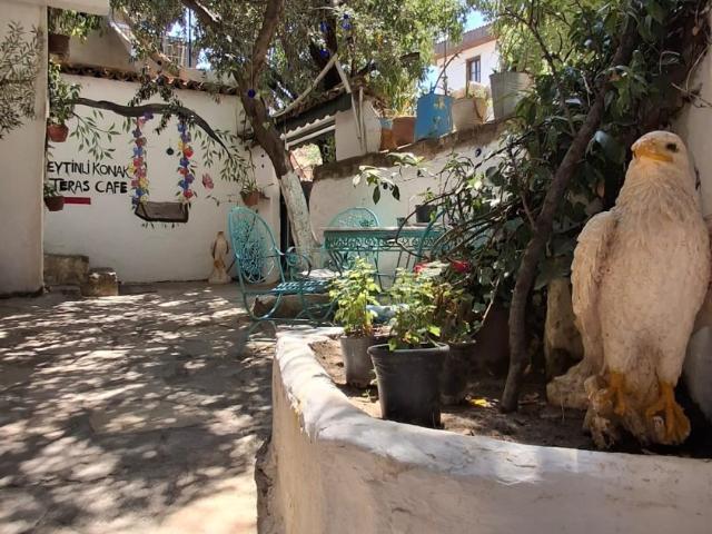 Ticari gayrimenkul Selçuk, İzmir, Türkiye 223247