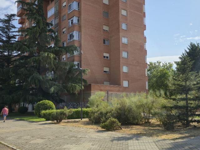 Tienda / local comercial 230.00 m2