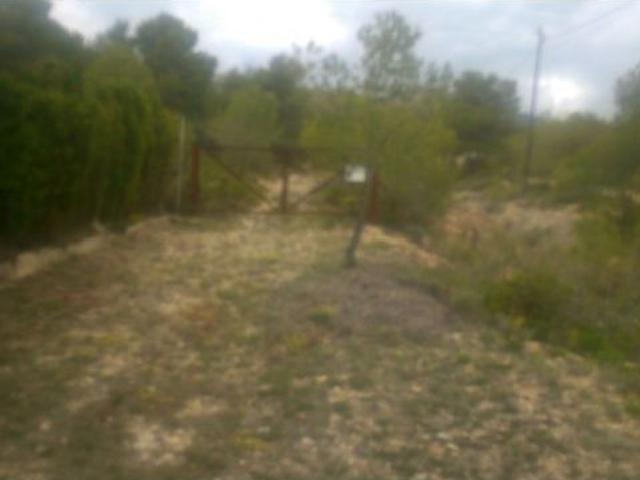 TIENE CASA EN RUINAS. TIENE CUEVA CON AGUA NATURAL