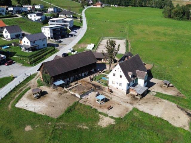 TIERLIEBHABER AUFGEPASST! GROSSARTIGE PFERDERANCH IN DER GRÜNEN STEIERMARK! Ihr Paradies auf dem Land: Charmanter Reiterhof in traumhafter Lage!