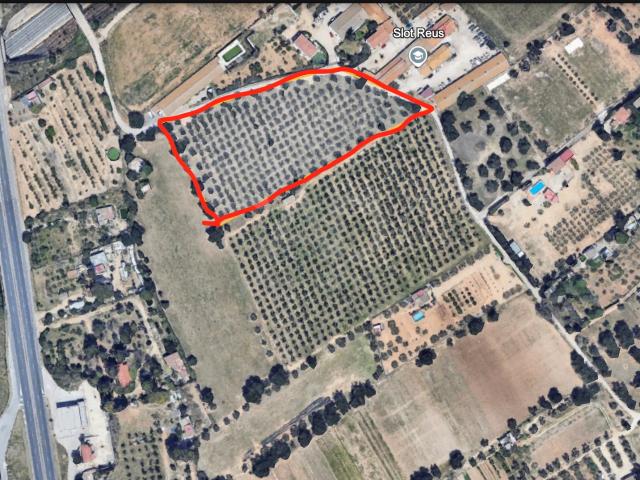 Tierra agrícola 12879 m2