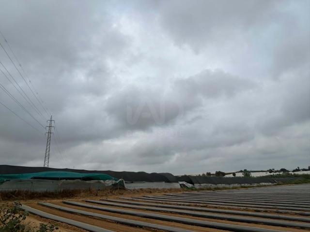 Tierra agrícola 12018 m2