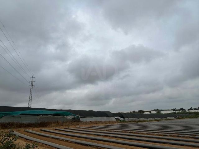 Tierra agrícola 12018 m2 m² Lepe