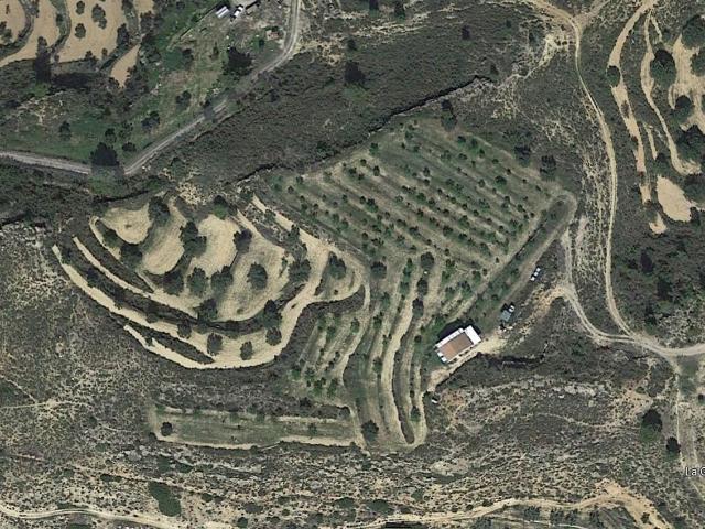 Tierra agrícola 14076 m2 m² Riba Roja d'Ebre