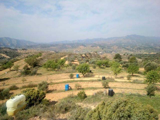 Tierra agrícola 14076 m2 m² Riba Roja d'Ebre