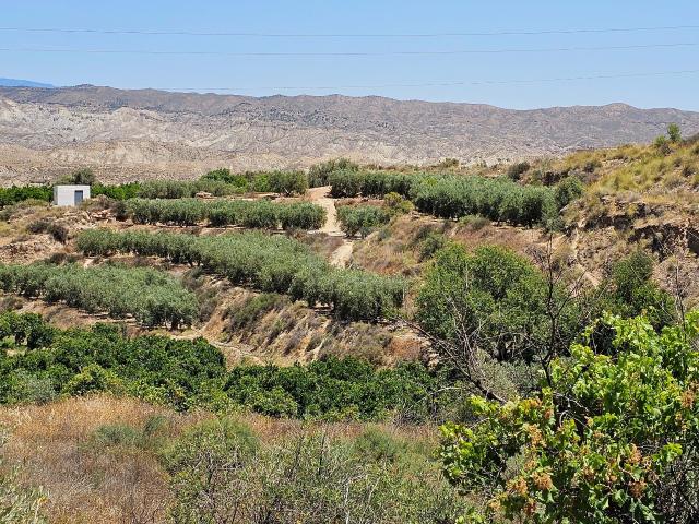 Tierra agrícola 22500 m2