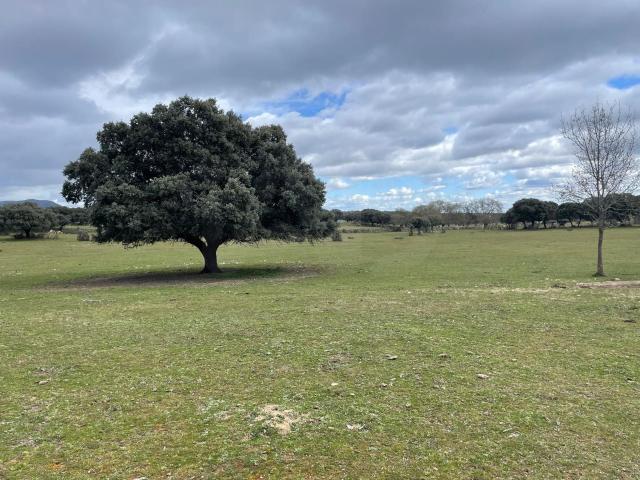 Tierra agrícola 223000 m2