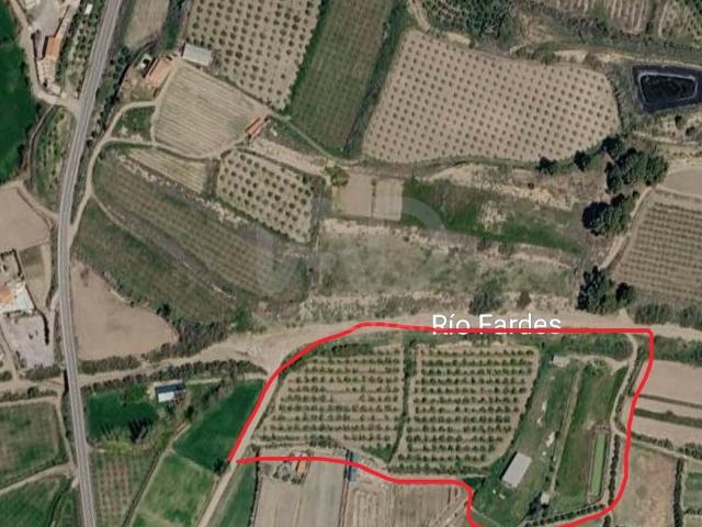 Tierra agrícola 23939 m2