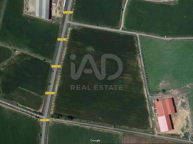 Tierra agrícola 24673 m2