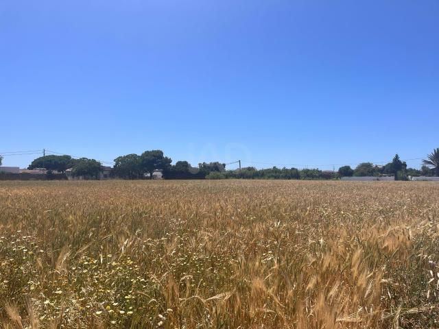 Tierra agrícola 2772 m2