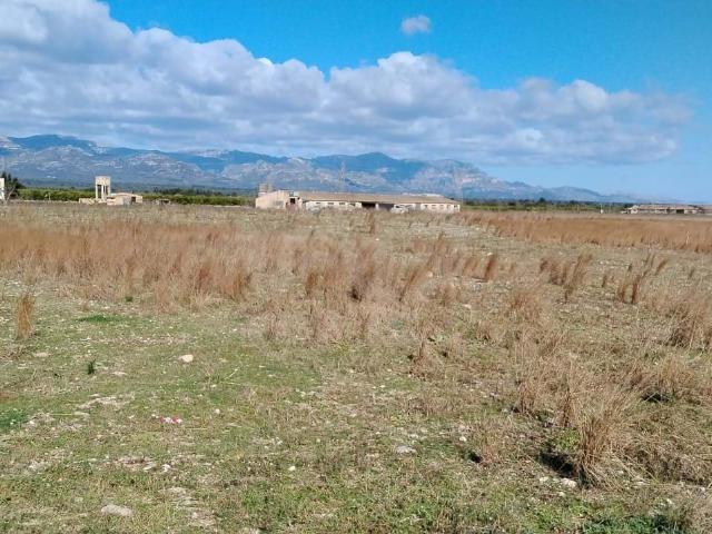 Tierra agrícola 39000 m2 m² Ulldecona