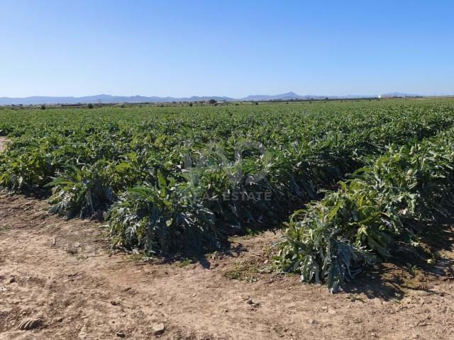 Tierra agrícola 444000 m2