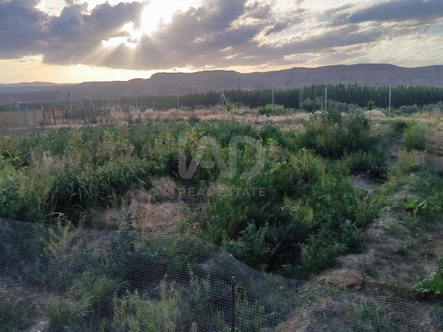 Tierra agrícola 4769 m2