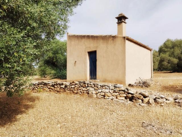 Tierra agrícola 47946 m2
