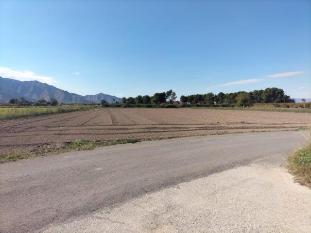 Tierra de cultivo en Granja de Rocamora