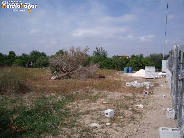 TIERRA DE HUERTA EN TORREAGUERA