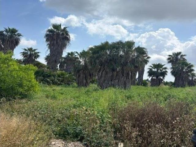 TIERRA EN SAN FULGENCIO REF 23 A
