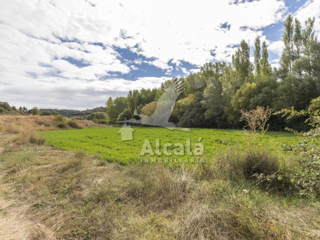 Tierra en venta, Hueva