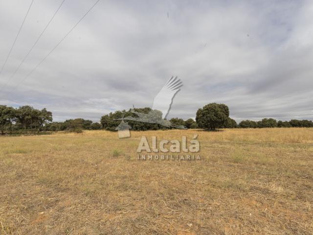 Tierra en venta, Hueva