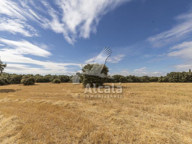 Tierra en venta, Hueva