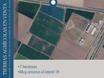 TIERRAS AGRÍCOLAS EN VENTA