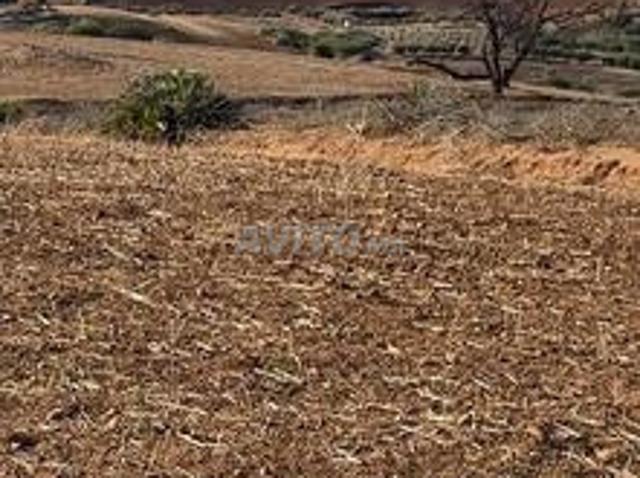 Tiflet hectare et six Khaddama Mahafda Hamza complet à 38 millions