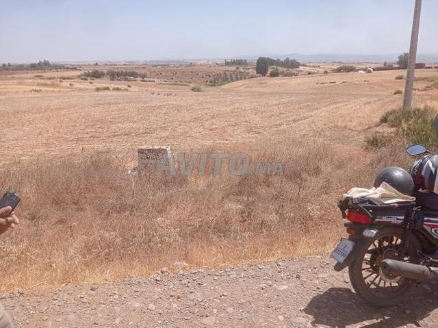 Tiflet Route El Maaziz